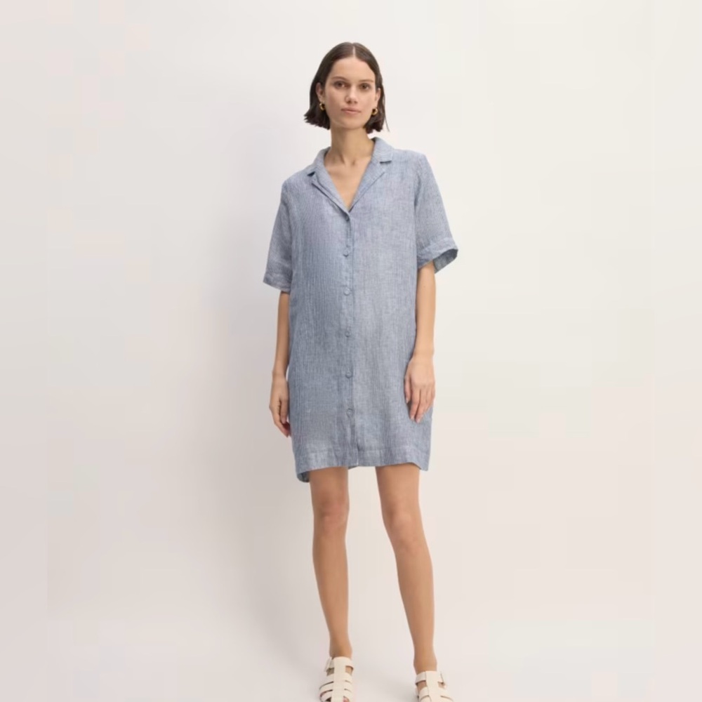 Everlane The Linen Shirtdress